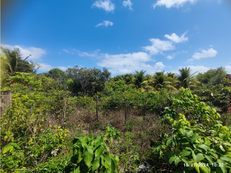Terreno para Venda no bairro Praia de Itapary em São José de Ribamar