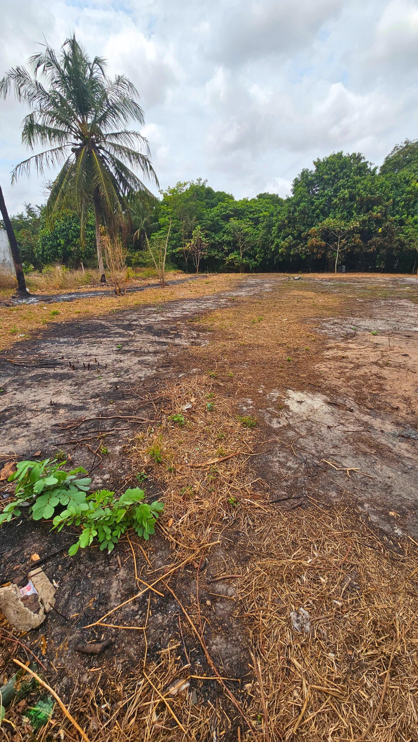 Terreno para Venda no bairro Vila Maioba do Janipapeiro em Paço do Lumiar